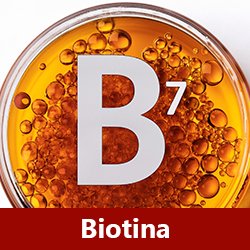 Shampoo para la caída del cabello - Componente Biotina