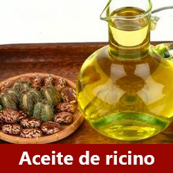 Shampoo para la caída del cabello - Componente Aceite de ricino negro de Jamaica